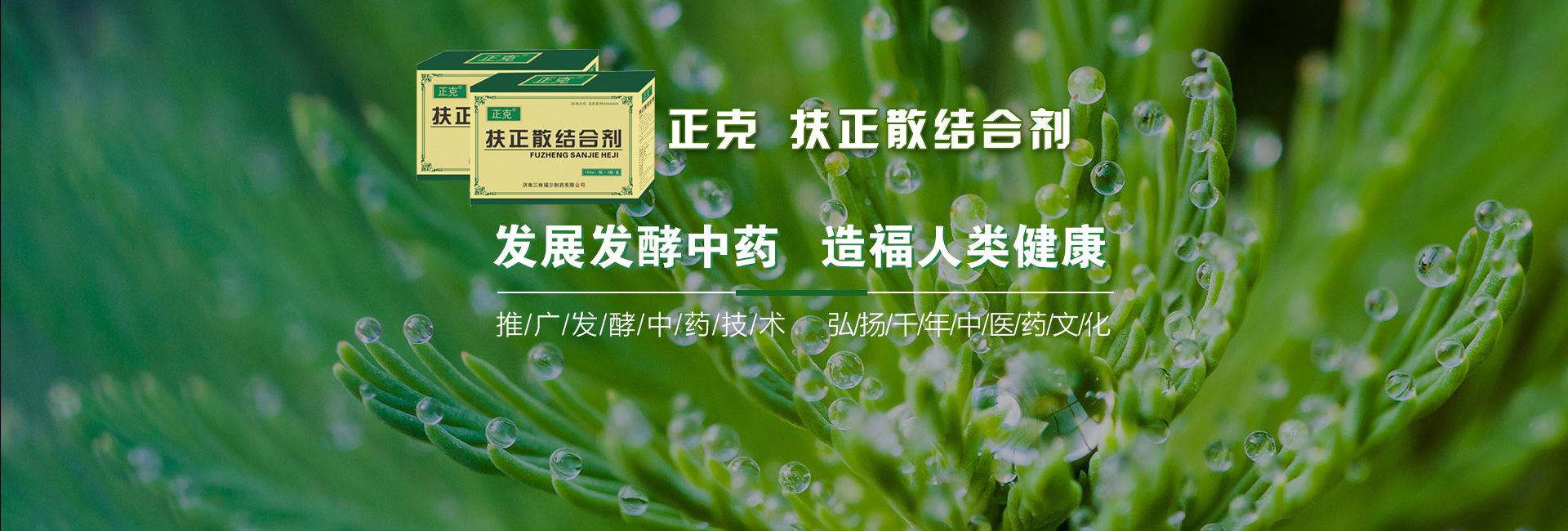 济南广恩堂大药房—肿瘤药网